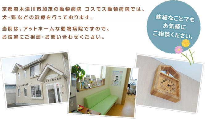 京都府木津川市加茂の動物病院 コスモス動物病院では、犬・猫などの診療を行っております。当院は、アットホームな動物病院ですので、お気軽にご相談・お問い合わせください。些細なことでもお気軽にご相談ください。